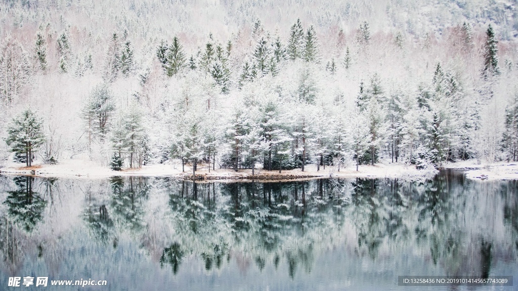冬天森林树木河流风景