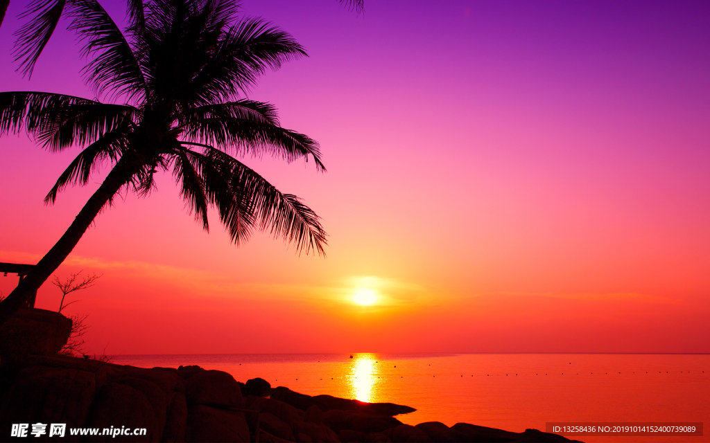 海边夕阳椰树天空风景