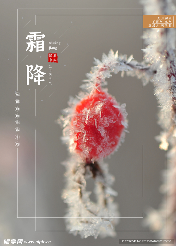 霜降海报 霜降素材 霜降节气