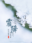 霜降海报 霜降素材 霜降节气