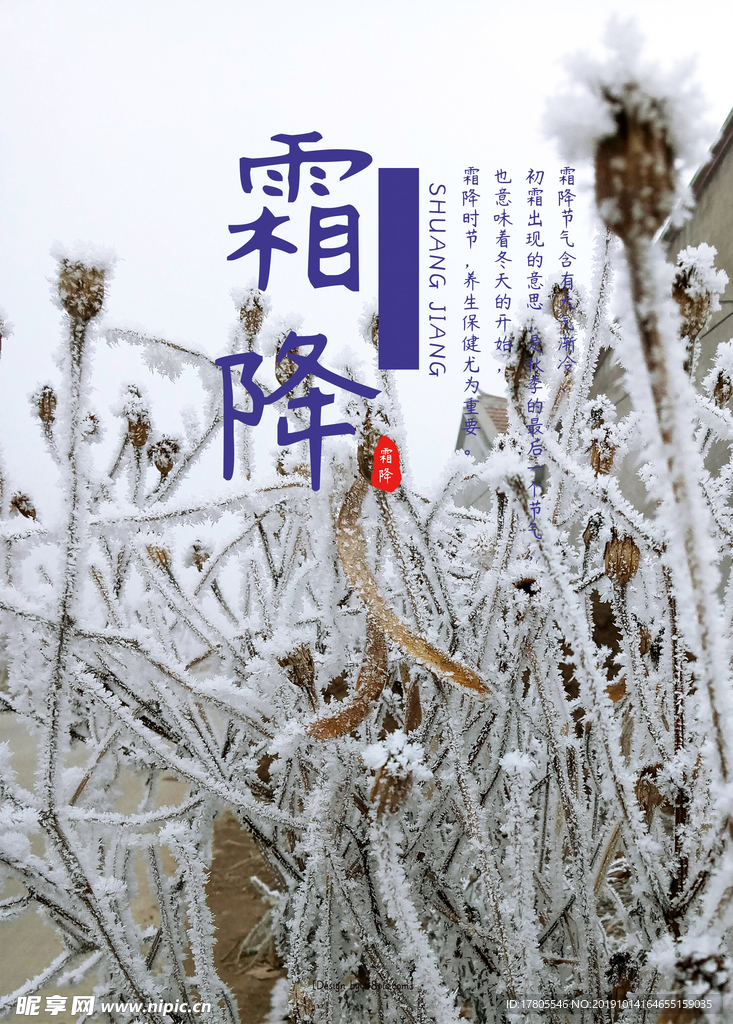 霜降海报 霜降素材 霜降节气