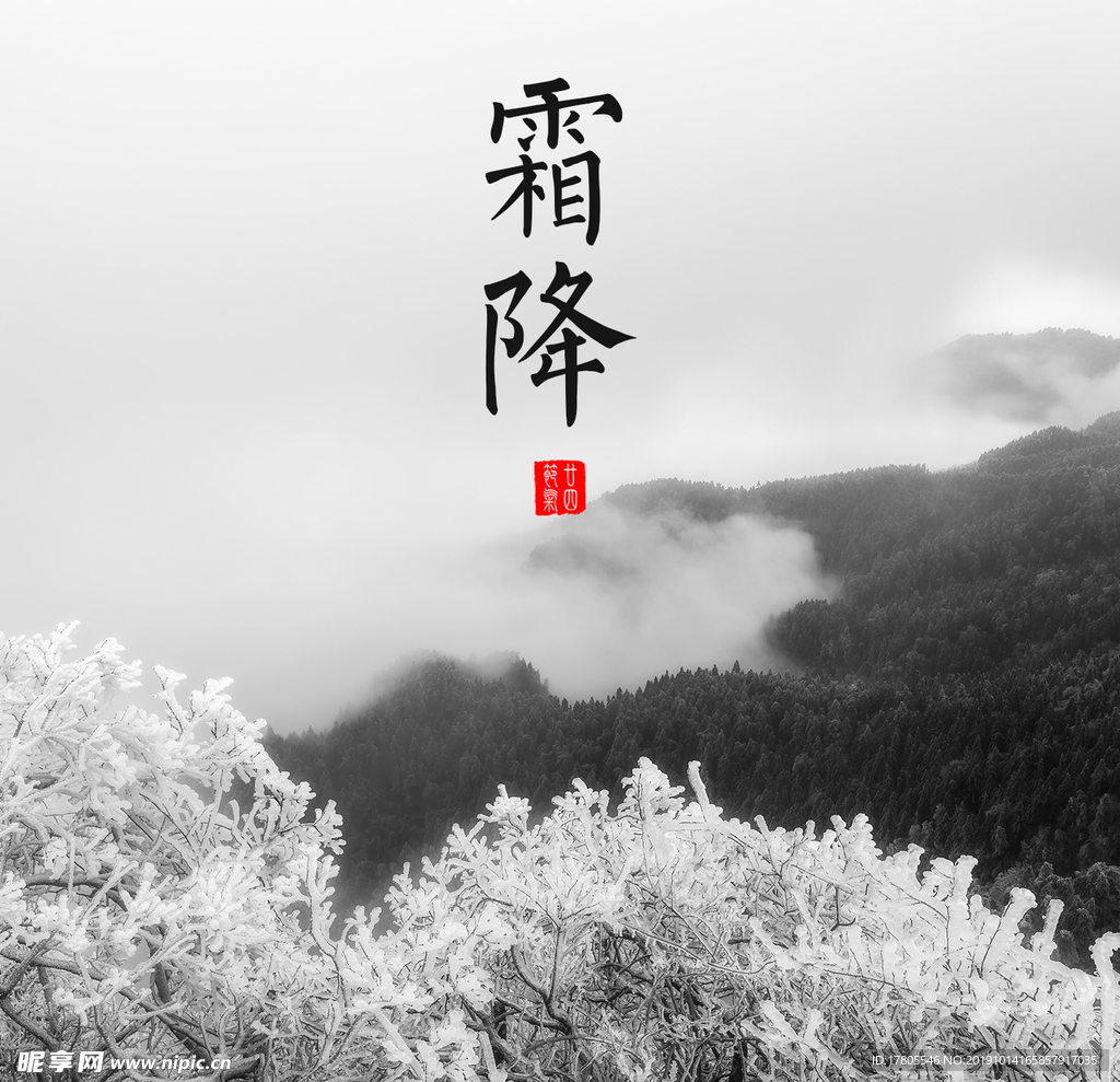 霜降海报 霜降素材 霜降节气
