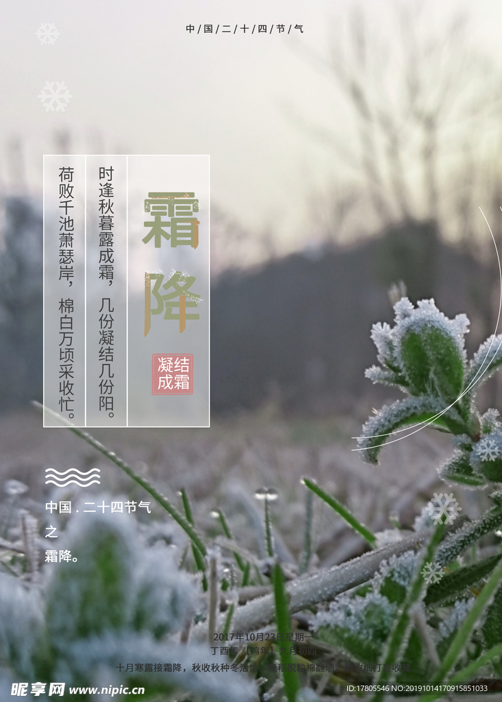 霜降海报 霜降素材 霜降节气