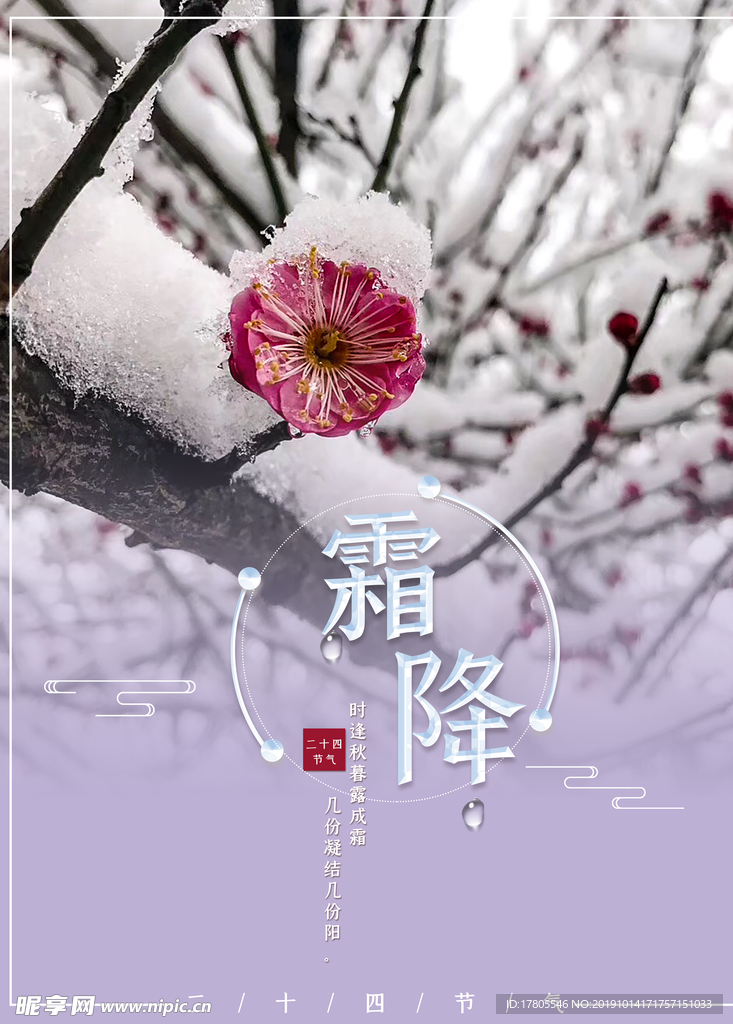 霜降海报 霜降素材 霜降节气