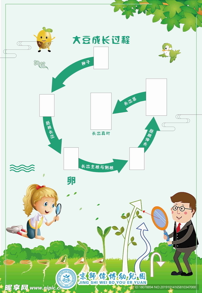 大豆生长过程流程图