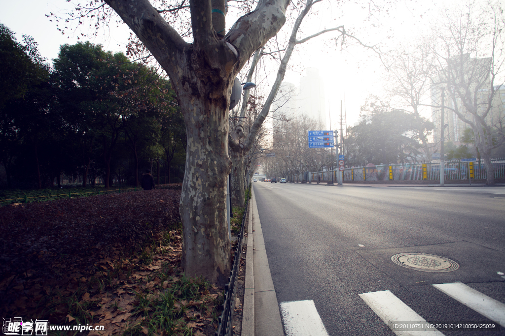 阳光街景