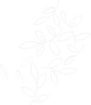 花矢量图