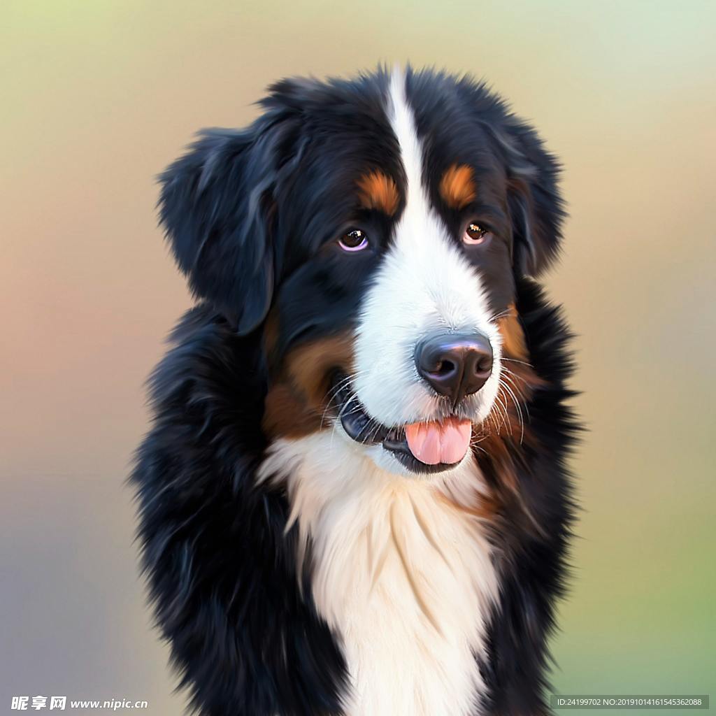 狗