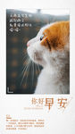 小清新早安