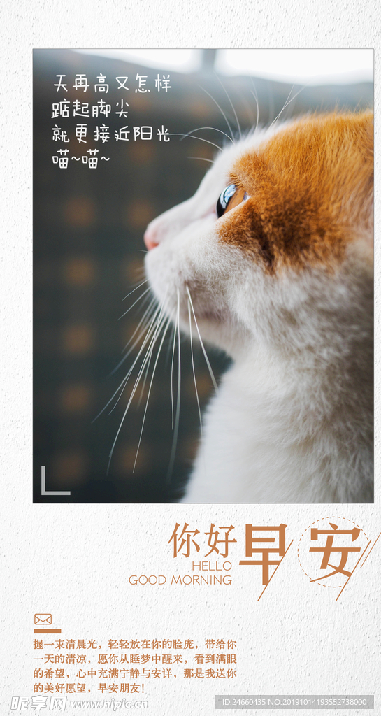 小清新早安