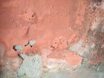 墙皮 脱落 混凝土 红色 水泥