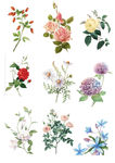 花