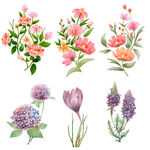 花