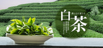 红茶海报