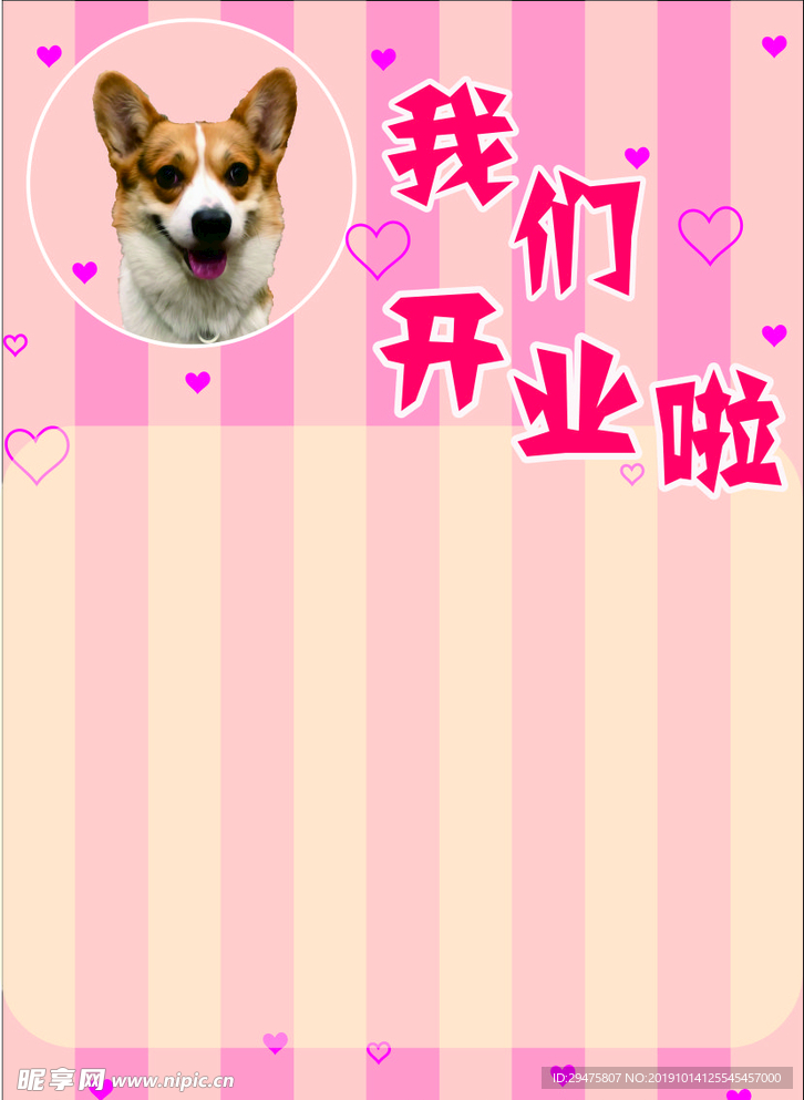 宠物柯基