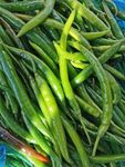 秋菜 辣椒特写