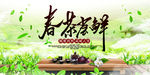 春茶