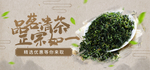 绿茶banner