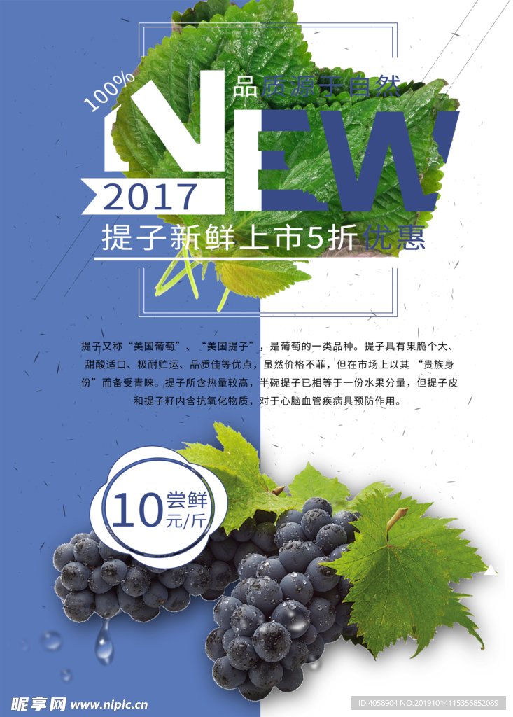 葡萄
