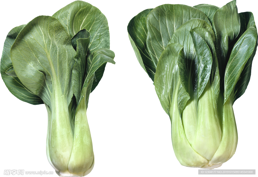 蔬菜