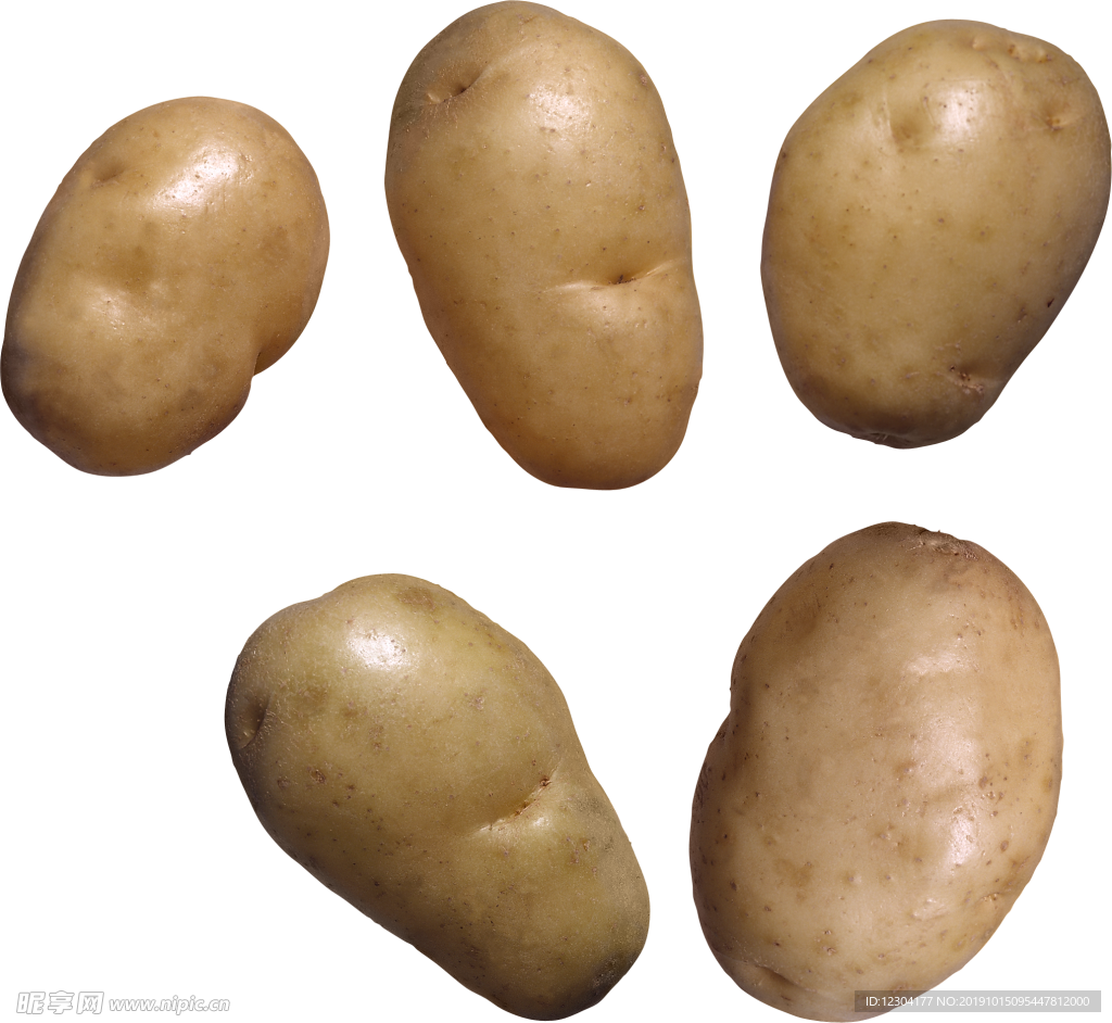 土豆