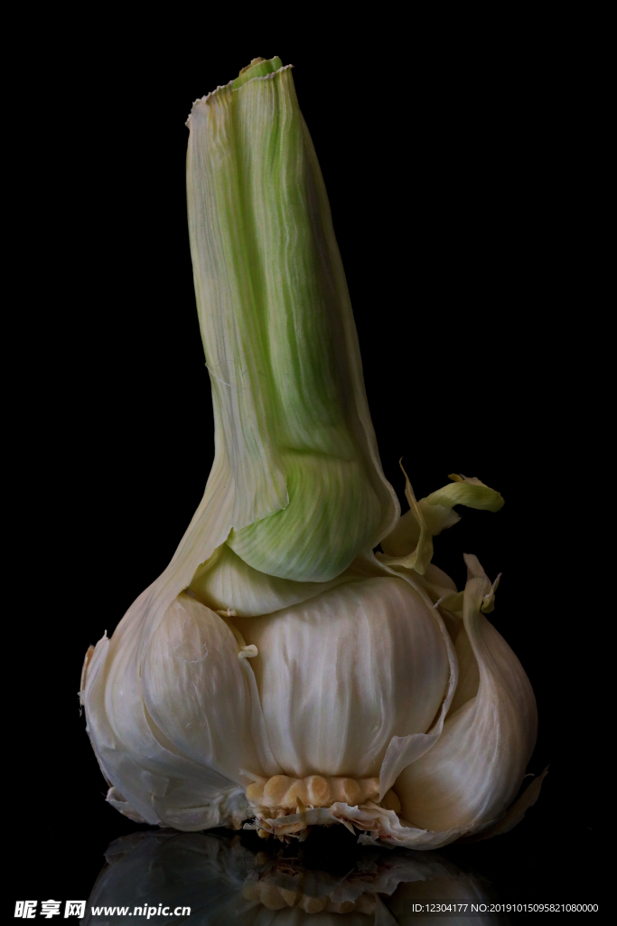 大蒜