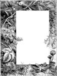 鲜花
