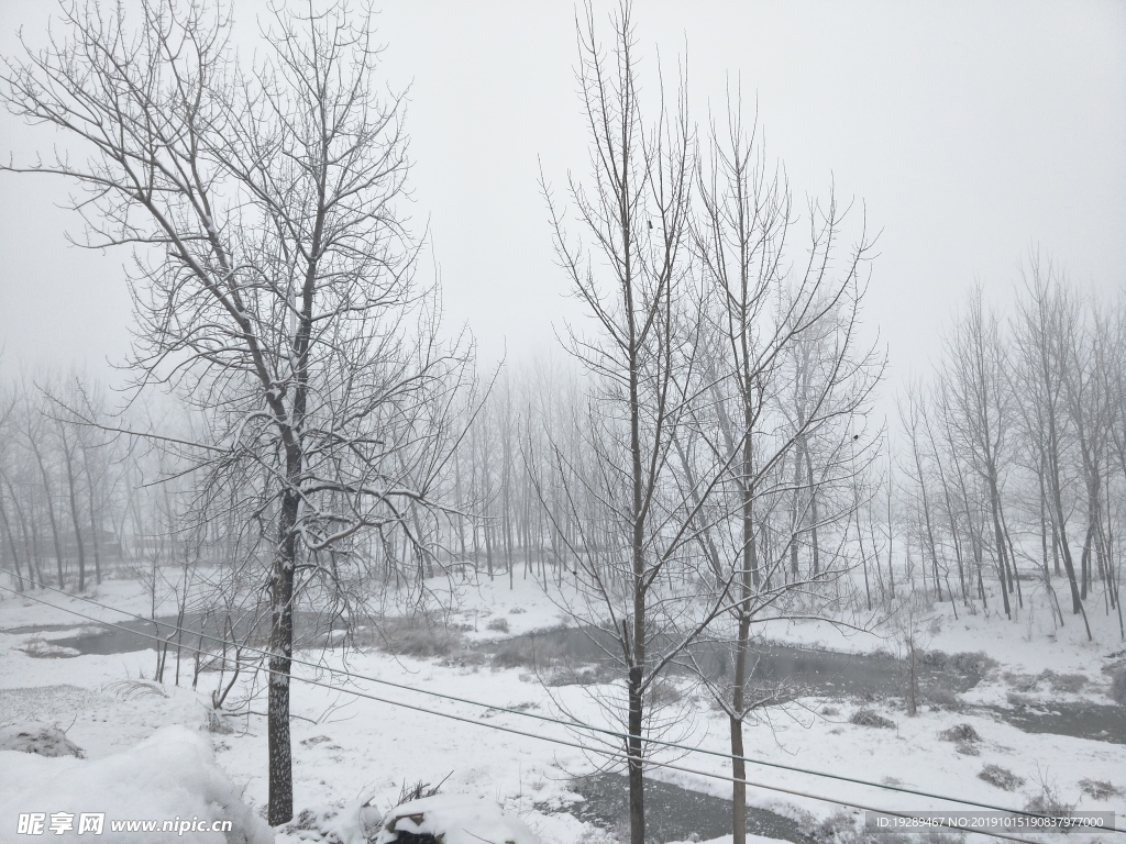 雪景