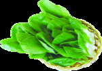 火锅涮品青菜