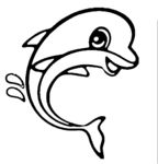 海豚 海水