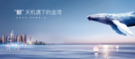 高端 地产 大海 鲸鱼