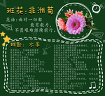 学校班级展板