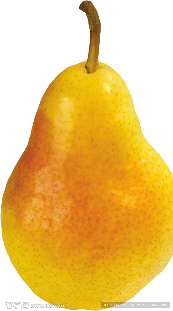 梨子