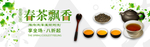 明前茶