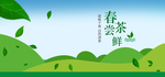 养生茶