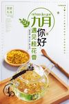 九月你好