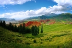 卓尔山