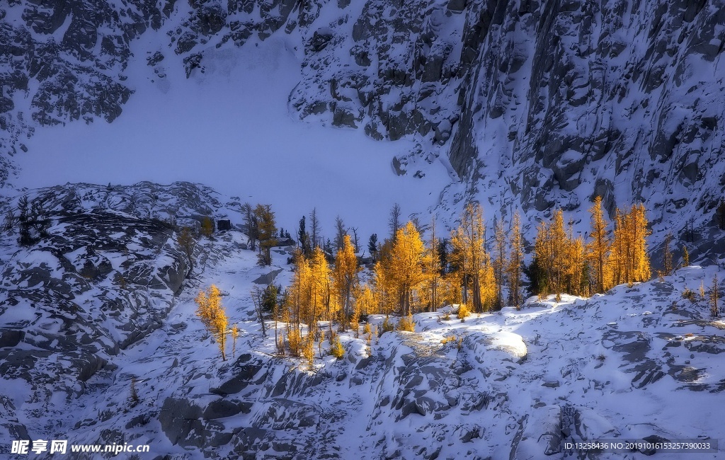雪山树林树木大雪风景