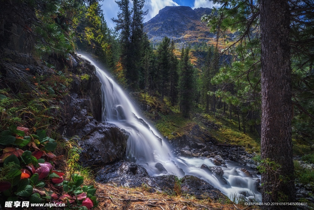 山谷森林流水树木天空风景