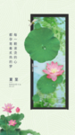 夏至 节气 二十四节气 地产