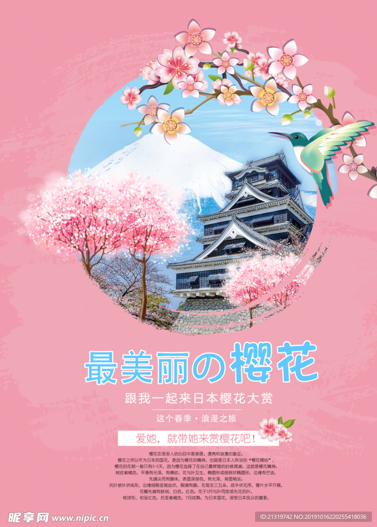 樱花海报