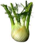 芹菜
