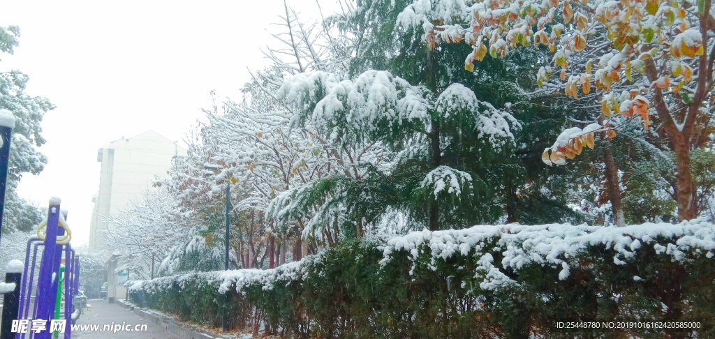 雪景