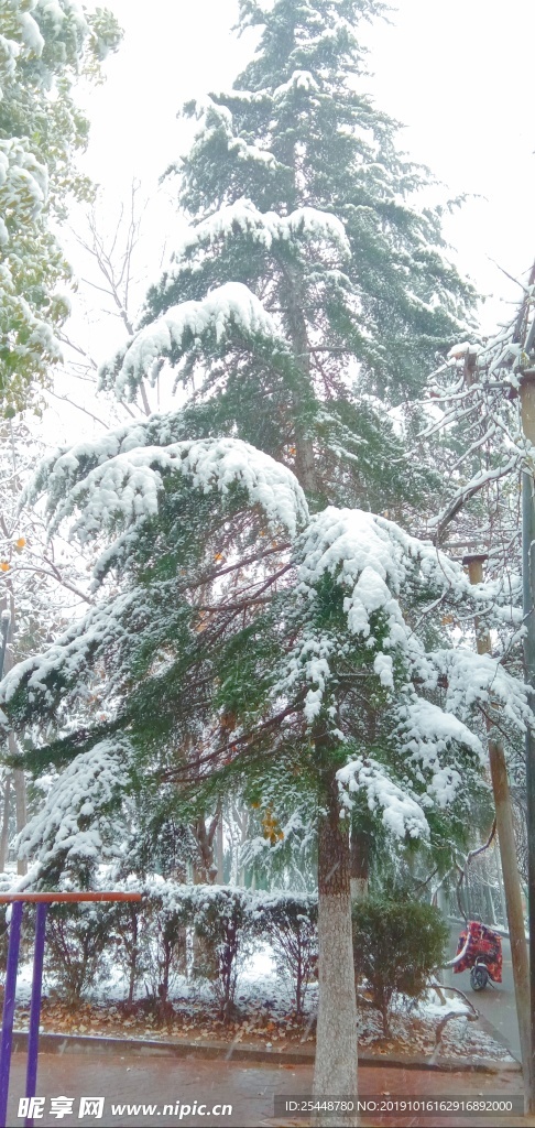 雪景