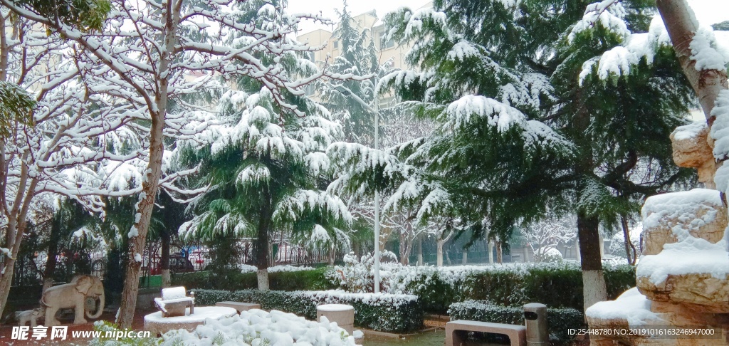 雪景