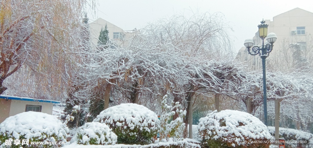 雪景