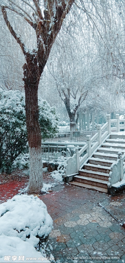 雪景