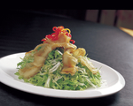 苦菊蝴蝶贝