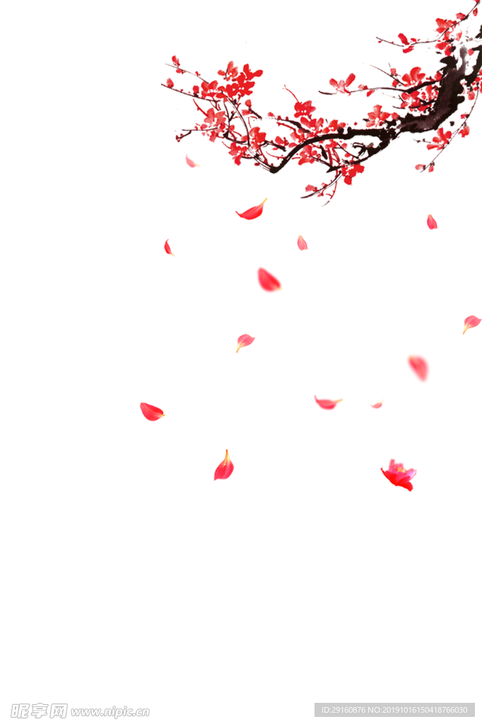梅花
