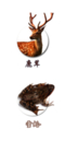 鹿茸 雪蛤